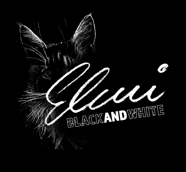 Elmi's Black & White Portfolio: Bleifstiftzeichnungen, Tierportraits in schwarz und weiss
